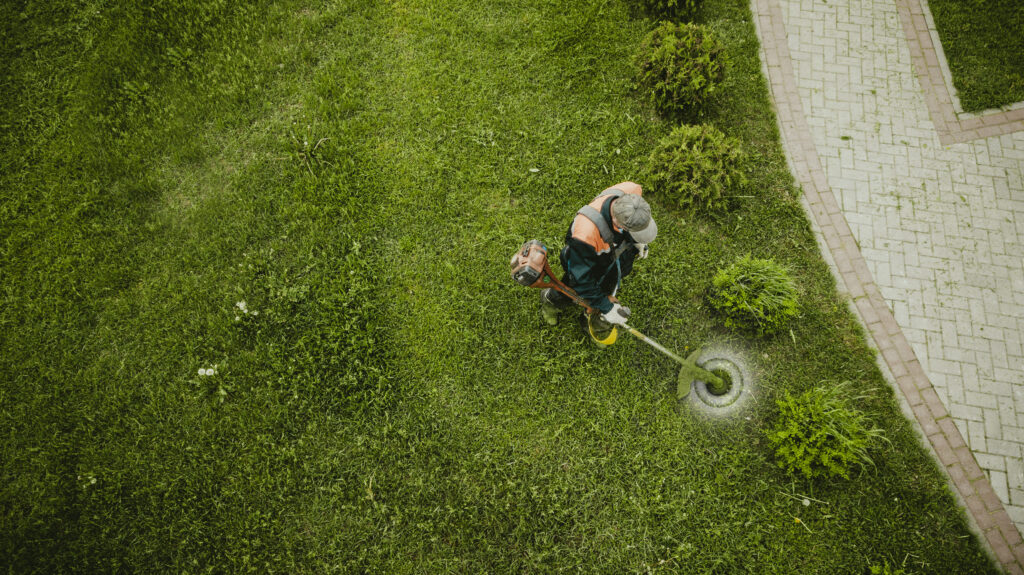 Limpieza y mantenimiento de jardines Aranjuez 2